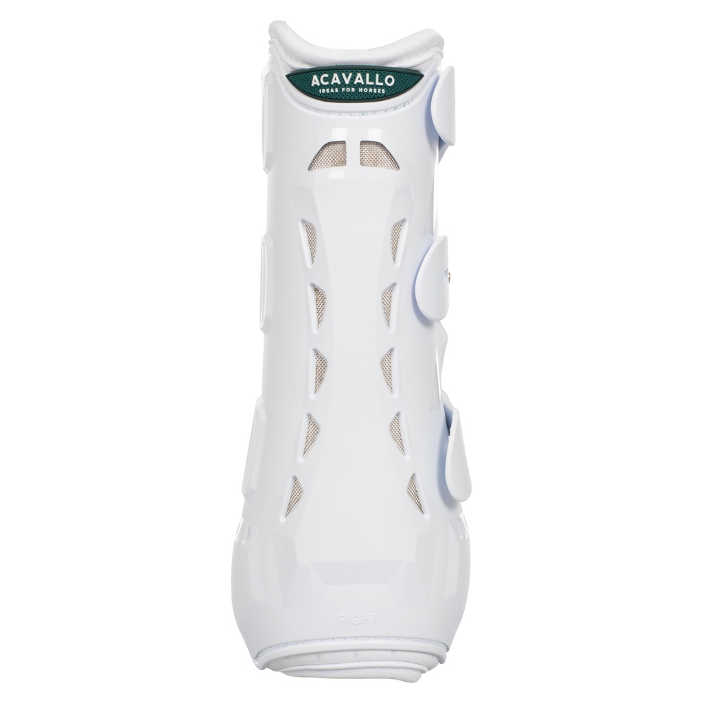 Caneleiras Dressage Acavalo Frente