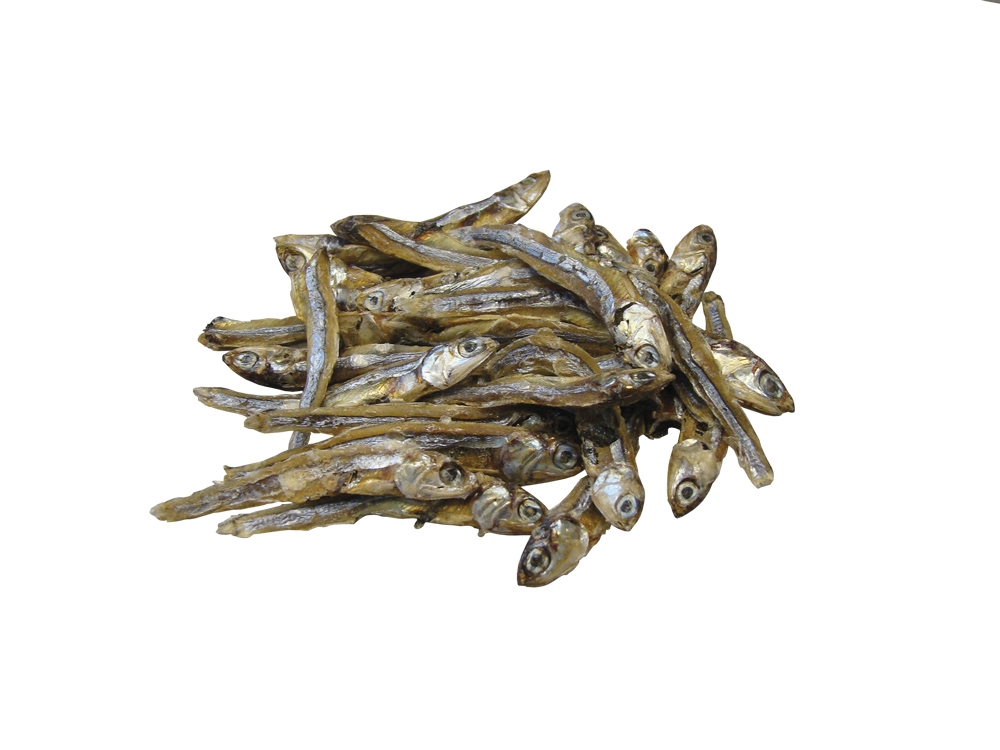 Snach de gato com sabor a peixe