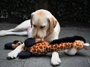 Brinquedo peluche girafa com elásticos