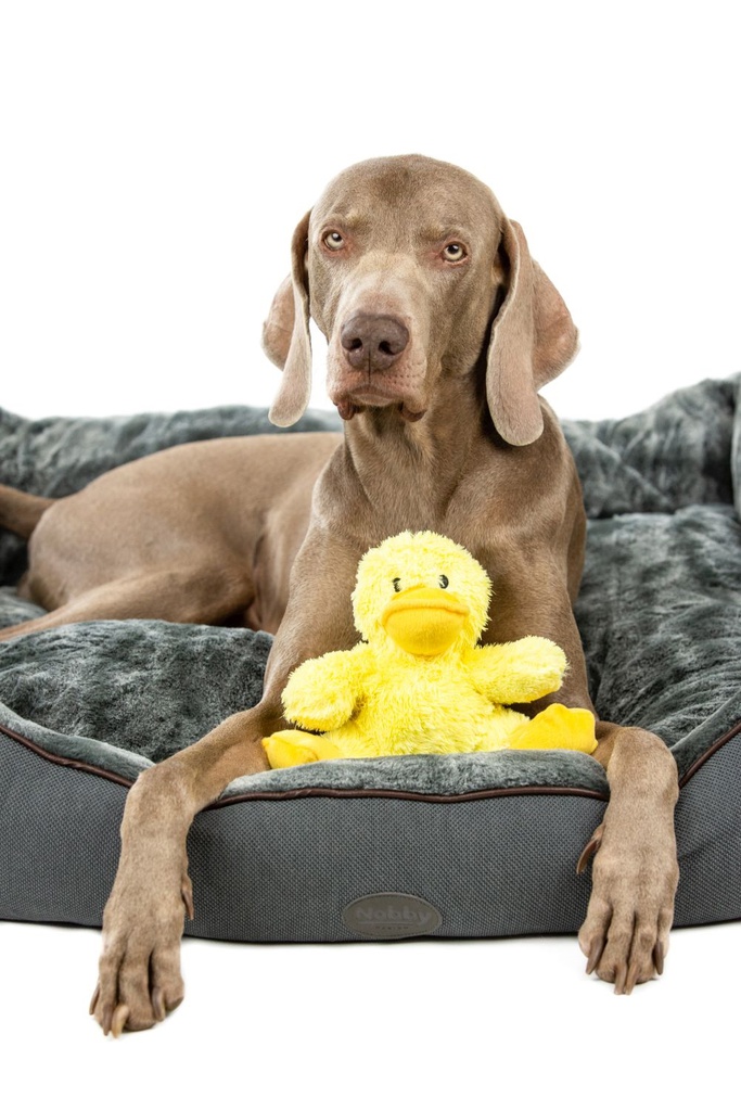 Brinquedo peluche pato "Daggi"