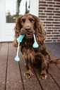 Brinquedo stick com corda "DENTAL LINE"