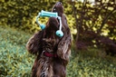 Brinquedo stick com corda "DENTAL LINE"