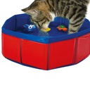Piscina Gatos com Brinquedos