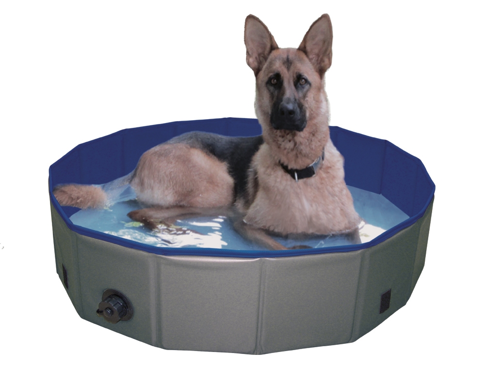 Piscina com Cobertura "Cover"
