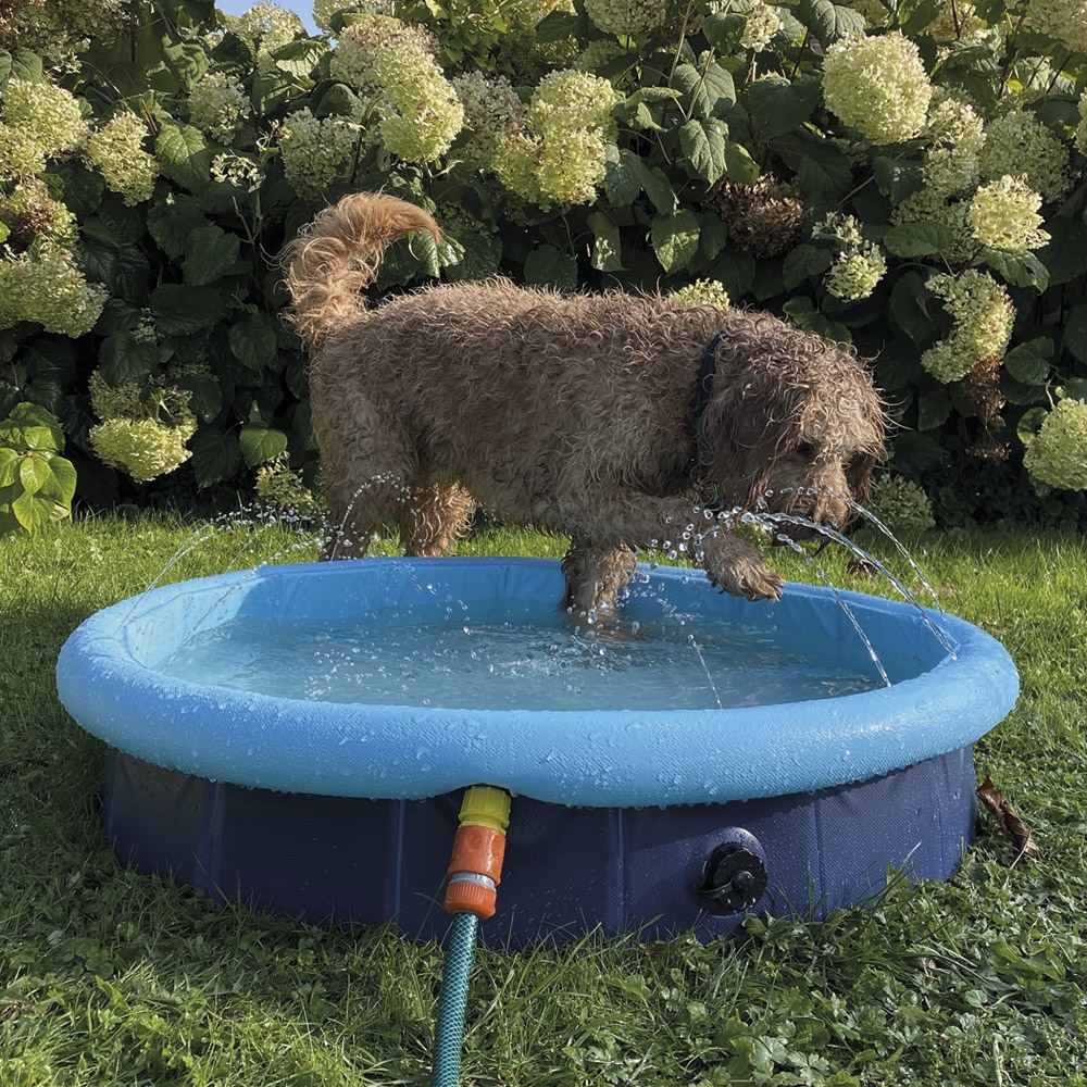 Pisicna 2 in 1 Splash