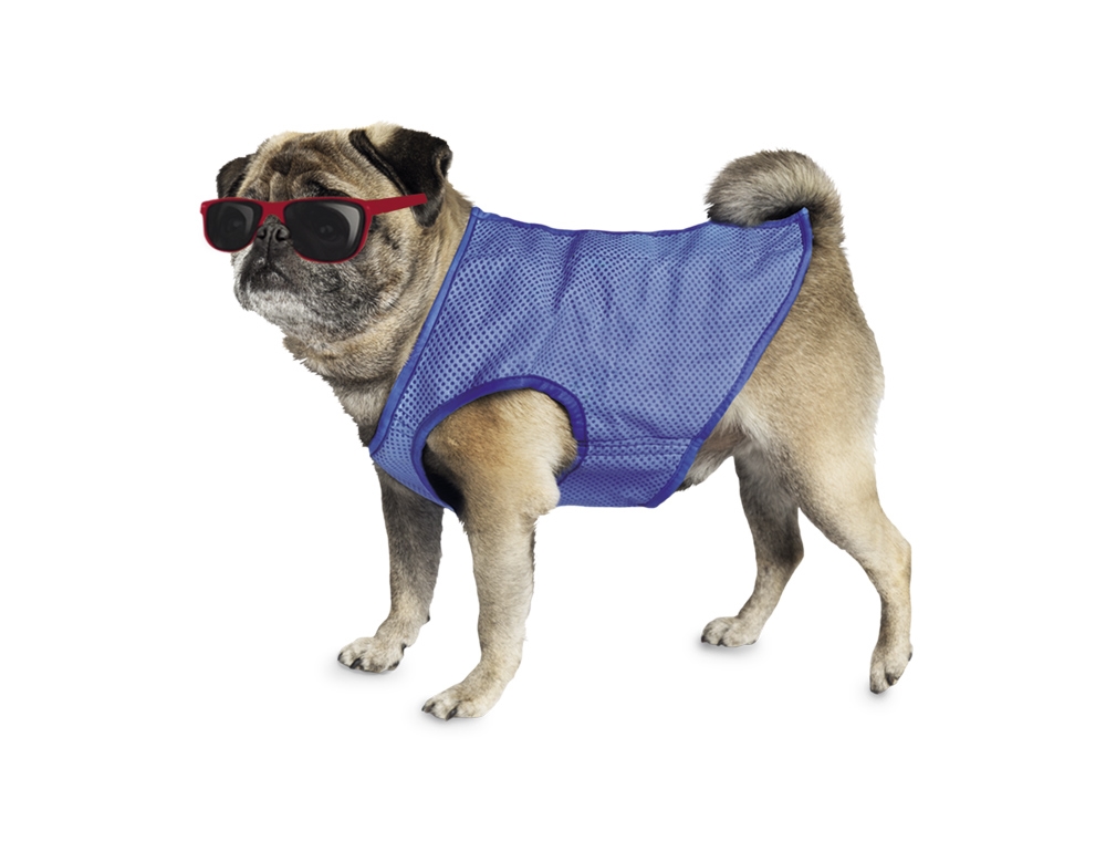 Manta de cão ICE