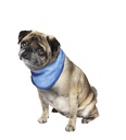 Bandana ICE
