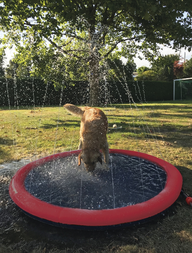 Piscina Splash