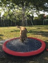 Piscina Splash