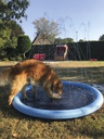 Piscina Splash