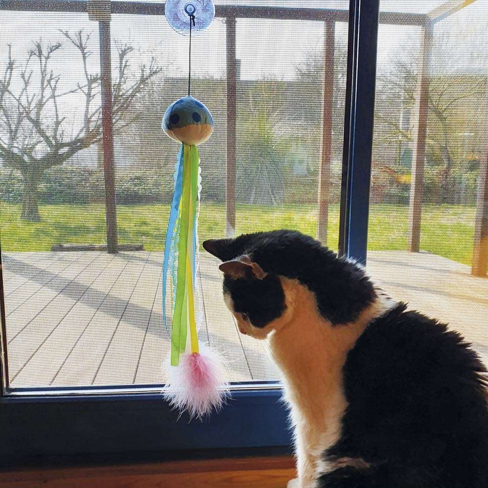 Brinquedo para Gato Ventosa