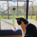 Brinquedo para Gato Ventosa