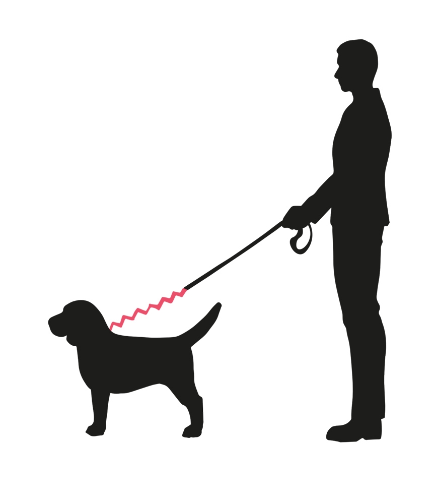 Soft Stop Belt