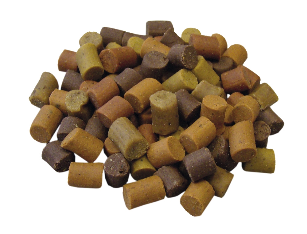 Biscoitos  "Mini Bites" sem grãos
