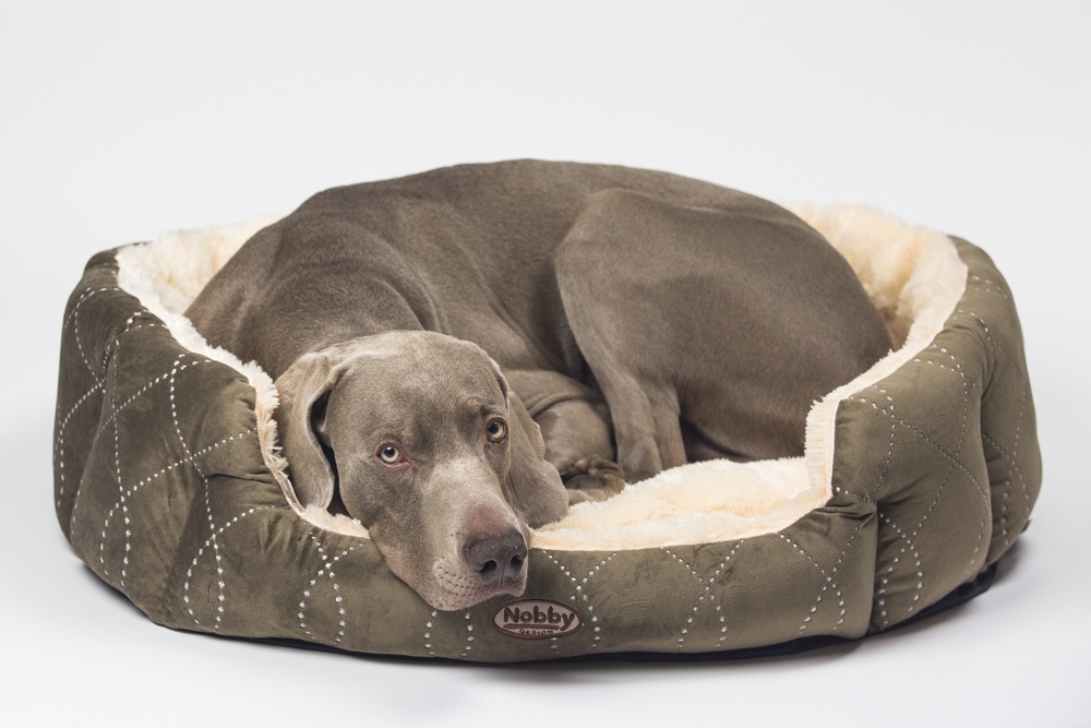 Cama oval "CENO"