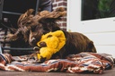 Peluche Girafa