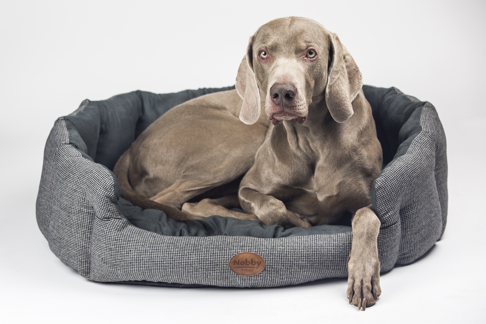 Cama Oval "JOSI"