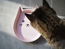 Comedouro"Kitty Face"