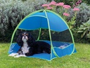 Tenda mussel "Summer time"