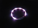 Coleira LED "PUPPY"