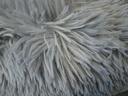 Cama Donut "ESLA"