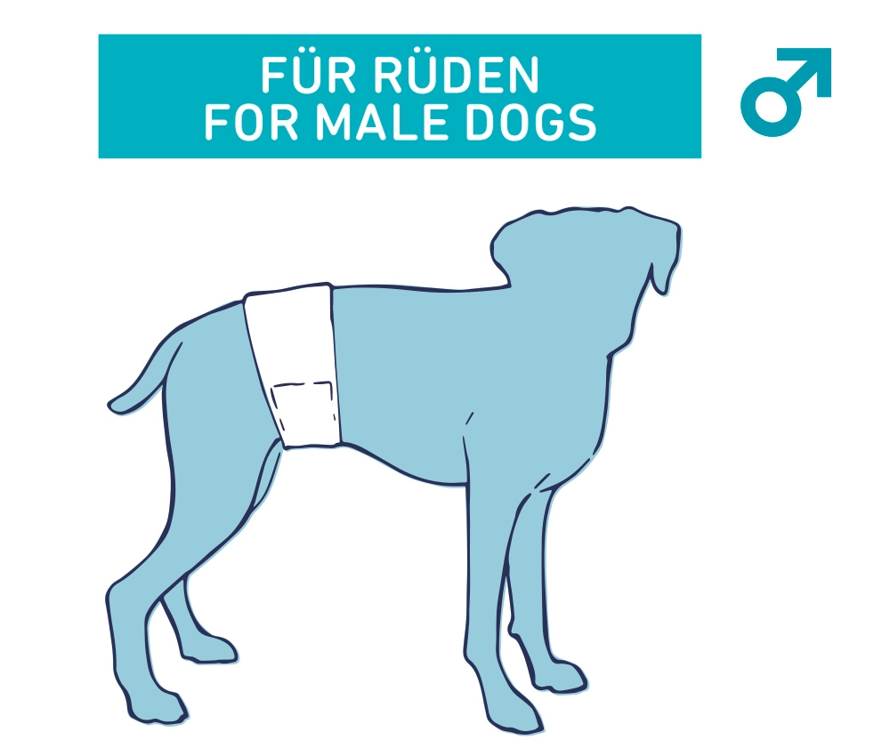 Fraldas para cães