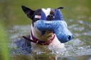 Peluche  "Floating"