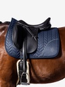 Suadouro TH Rhinestone Dressage 
