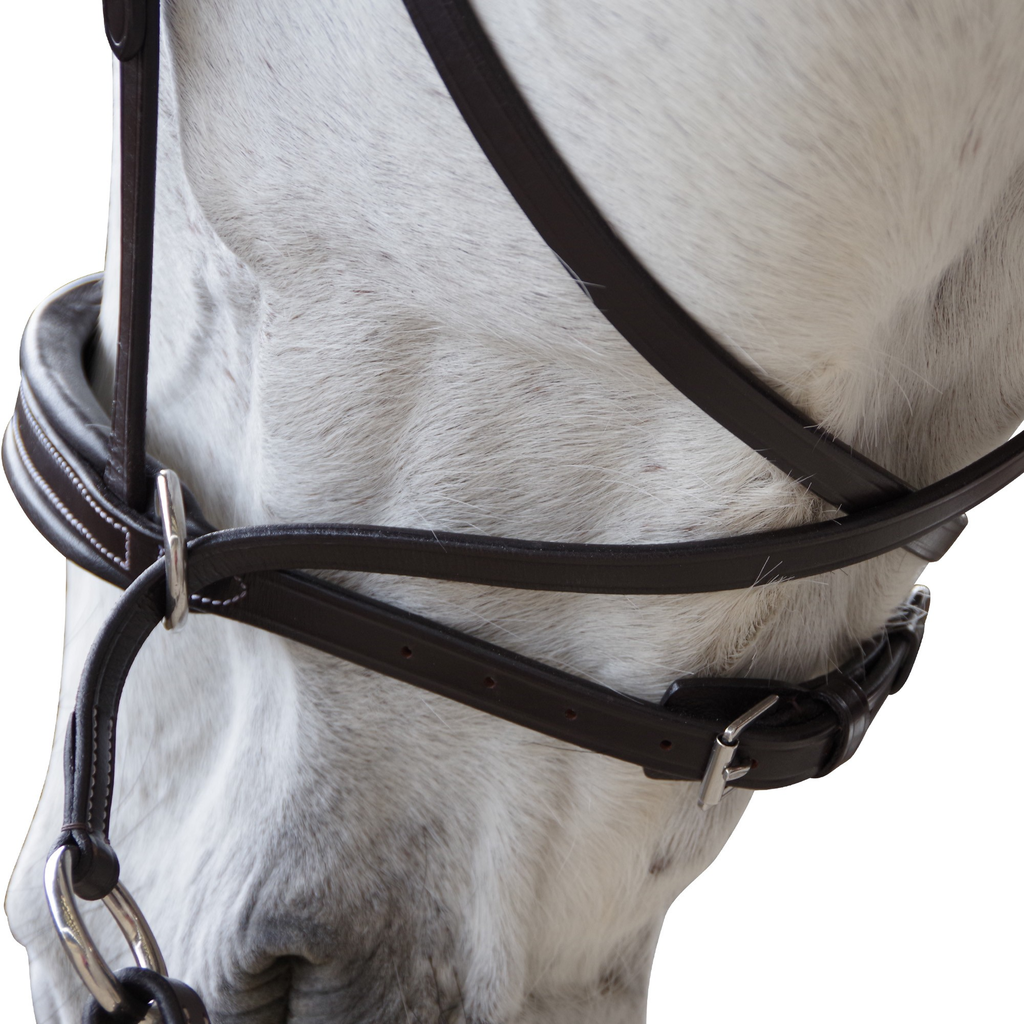 Cabeçada Bitless Canter