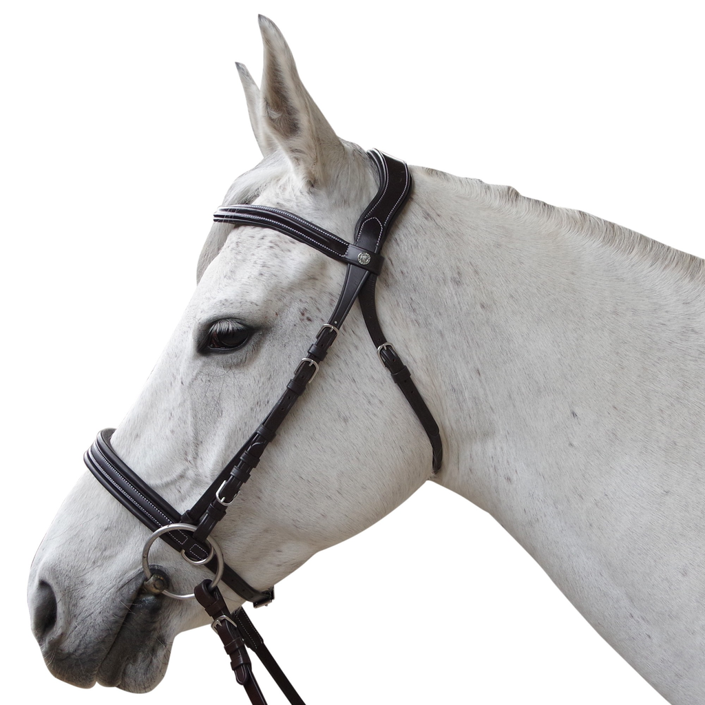 Cabeçada Bitless Canter