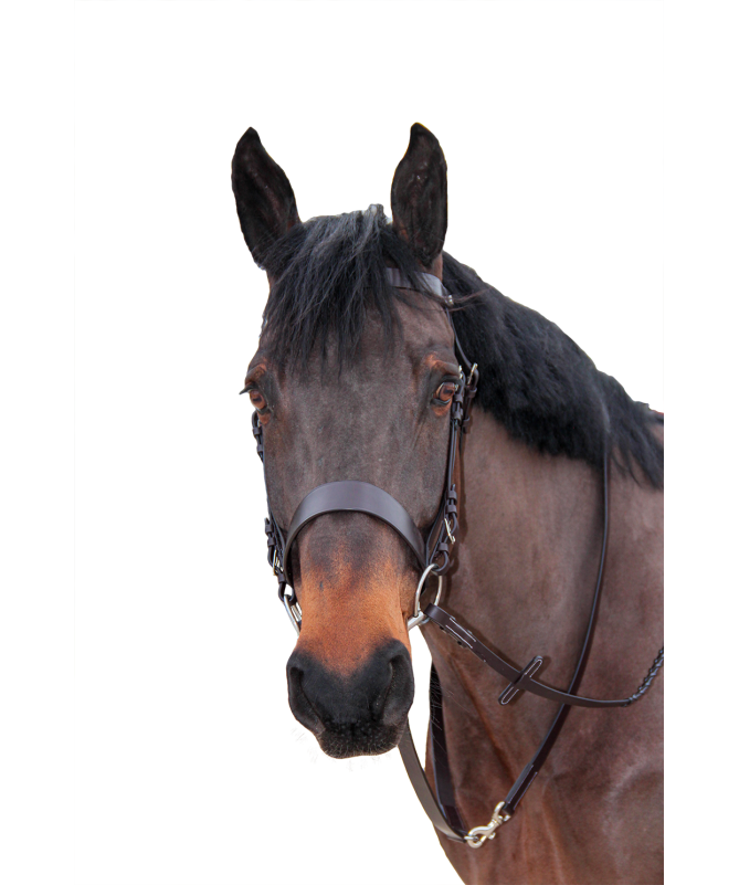 Gamarra Fixa Canter