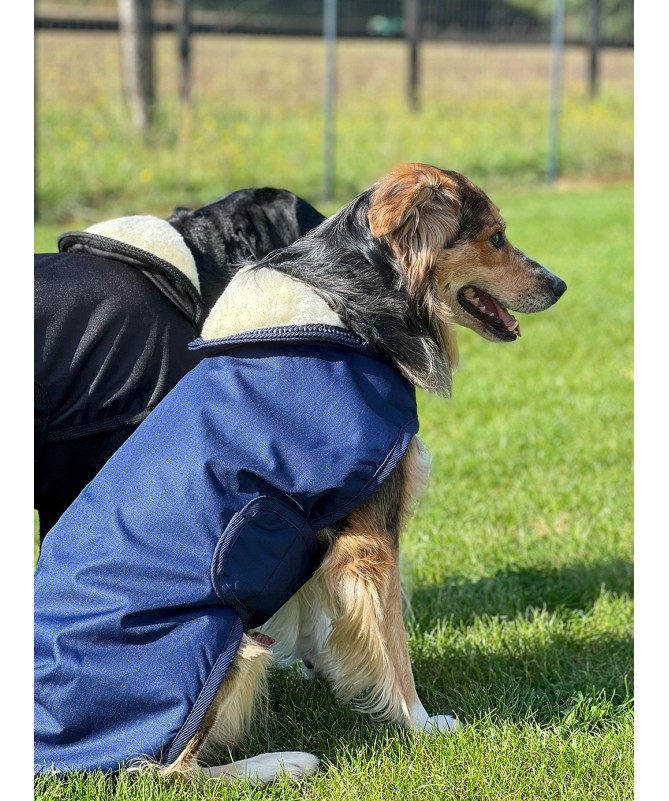 Manta Chuva Polar Cão Jamsa