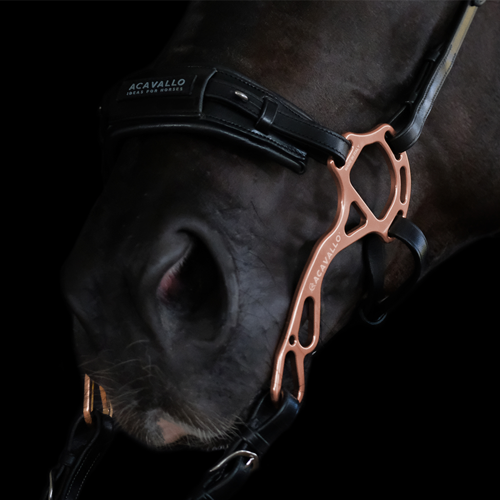 Focinheira Hackamore