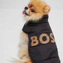 Casaco Padded Boss