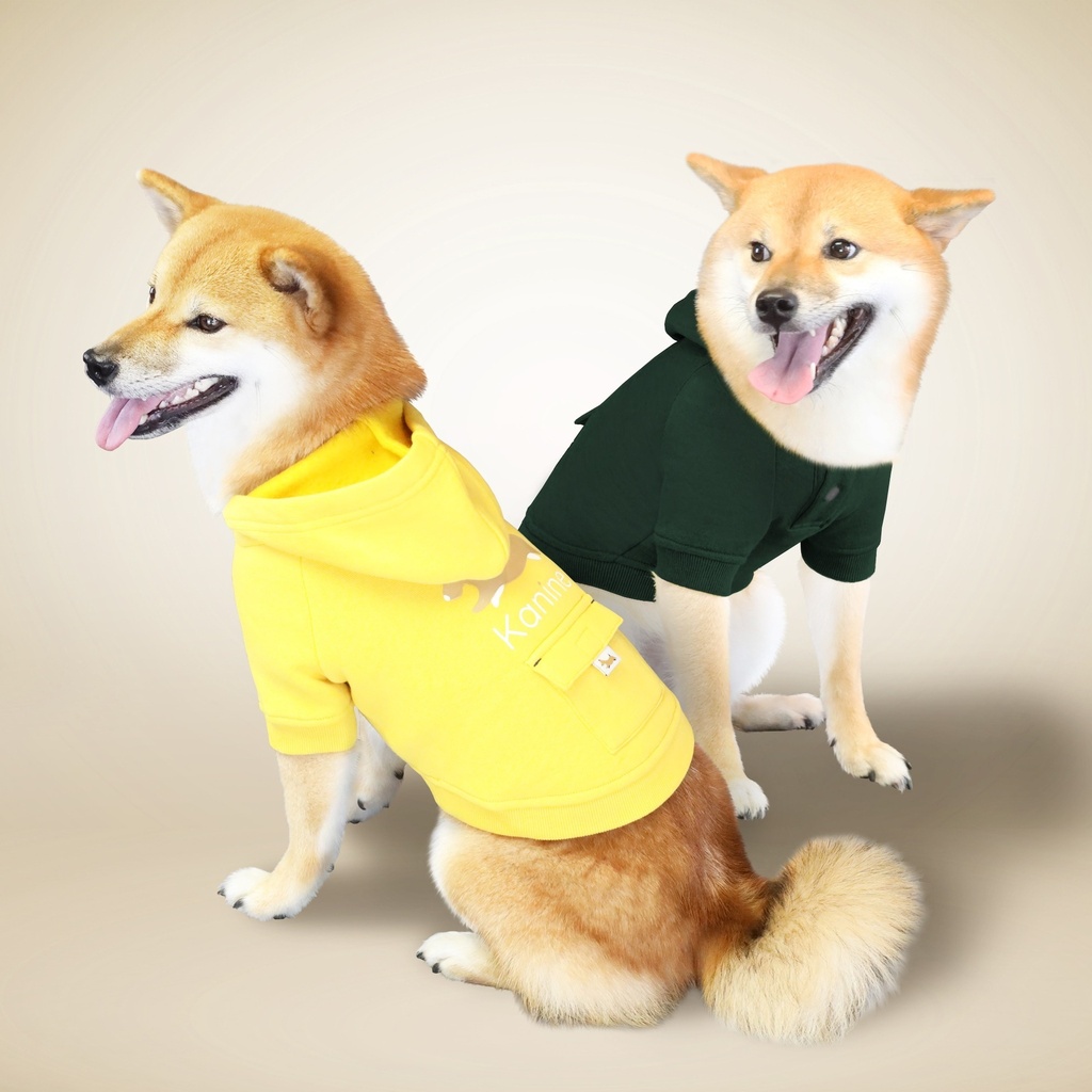Hoodie Polar