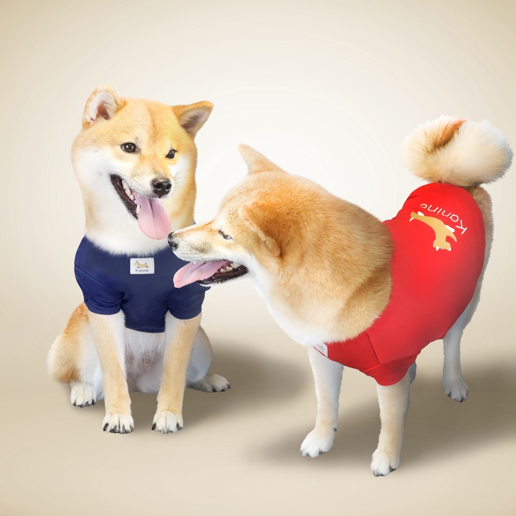 Hoodie Polar