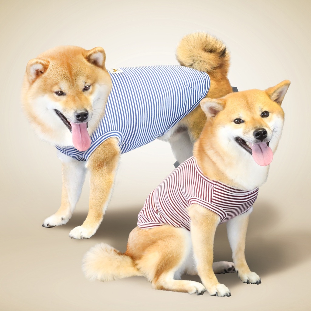 Hoodie Polar