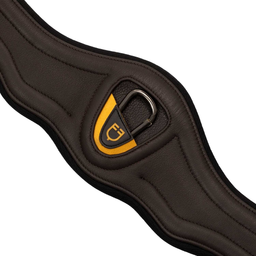 Cilha Anatomica Equestro