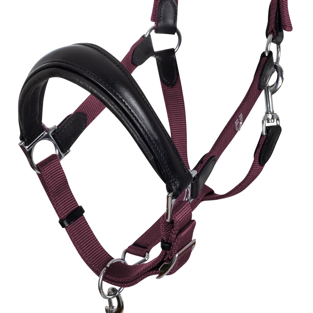 Cabeção Ergonomico Equestro