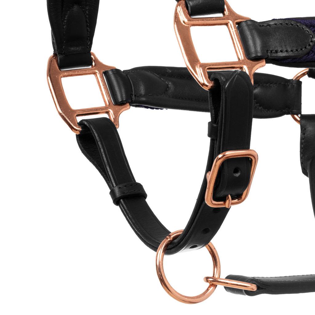 Cabeção Equestro Rose Gold
