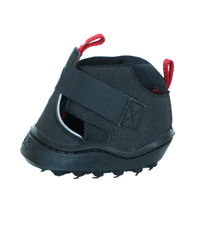Botas Equine Fusion Active Jogging