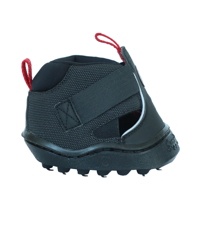Botas Equine Fusion Active Jogging