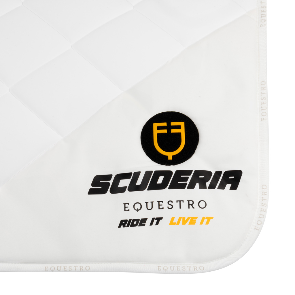 Suadouro Dressage Scuderia Equestro