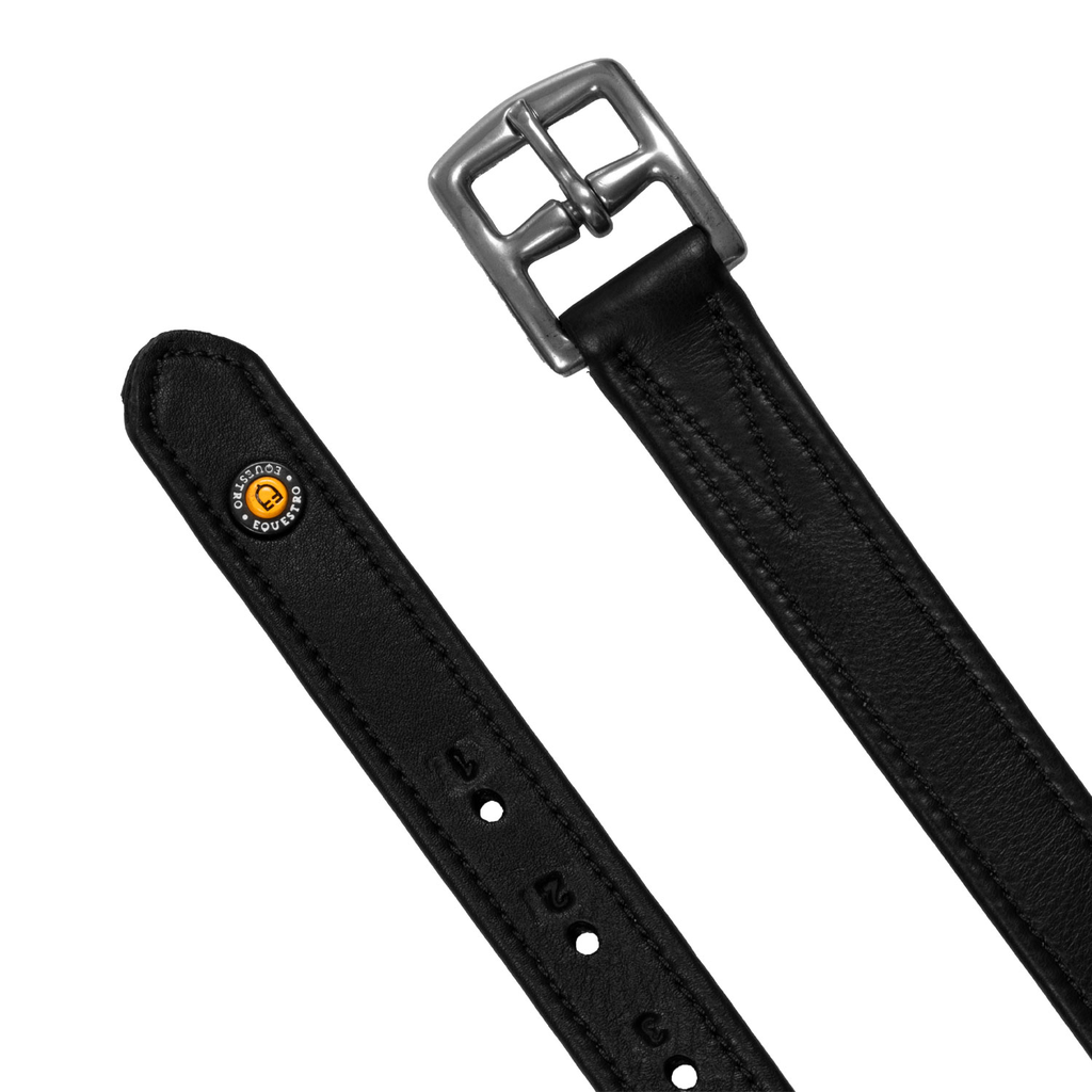Loros Equestro c/numeros
