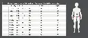 size_breeches_kids.webp