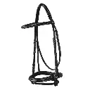 0049782_leather-english-bridle-with-embroideries-new_br00660n_750.webp