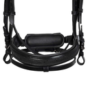 Cabeçada Raised and Padded Equestro