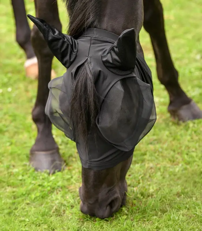 6332701-PON_13_800x800.webp