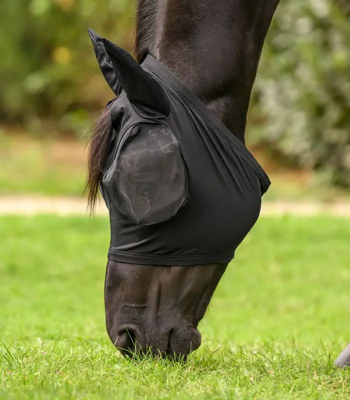 6332701-PON_12_800x800.webp