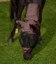6332701-PON_13_800x800.webp